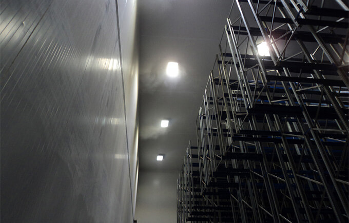 Cold Chamber, Brazil  LED Flood Light