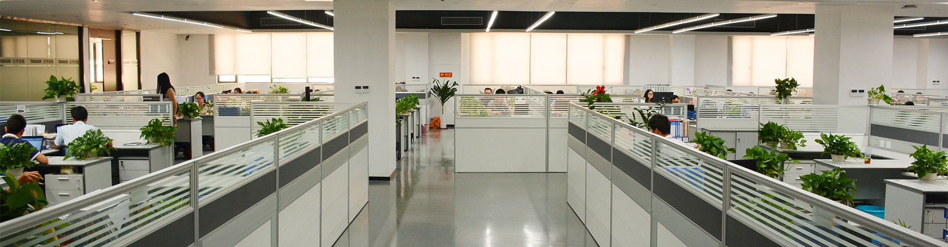YAHAM Lighting Office