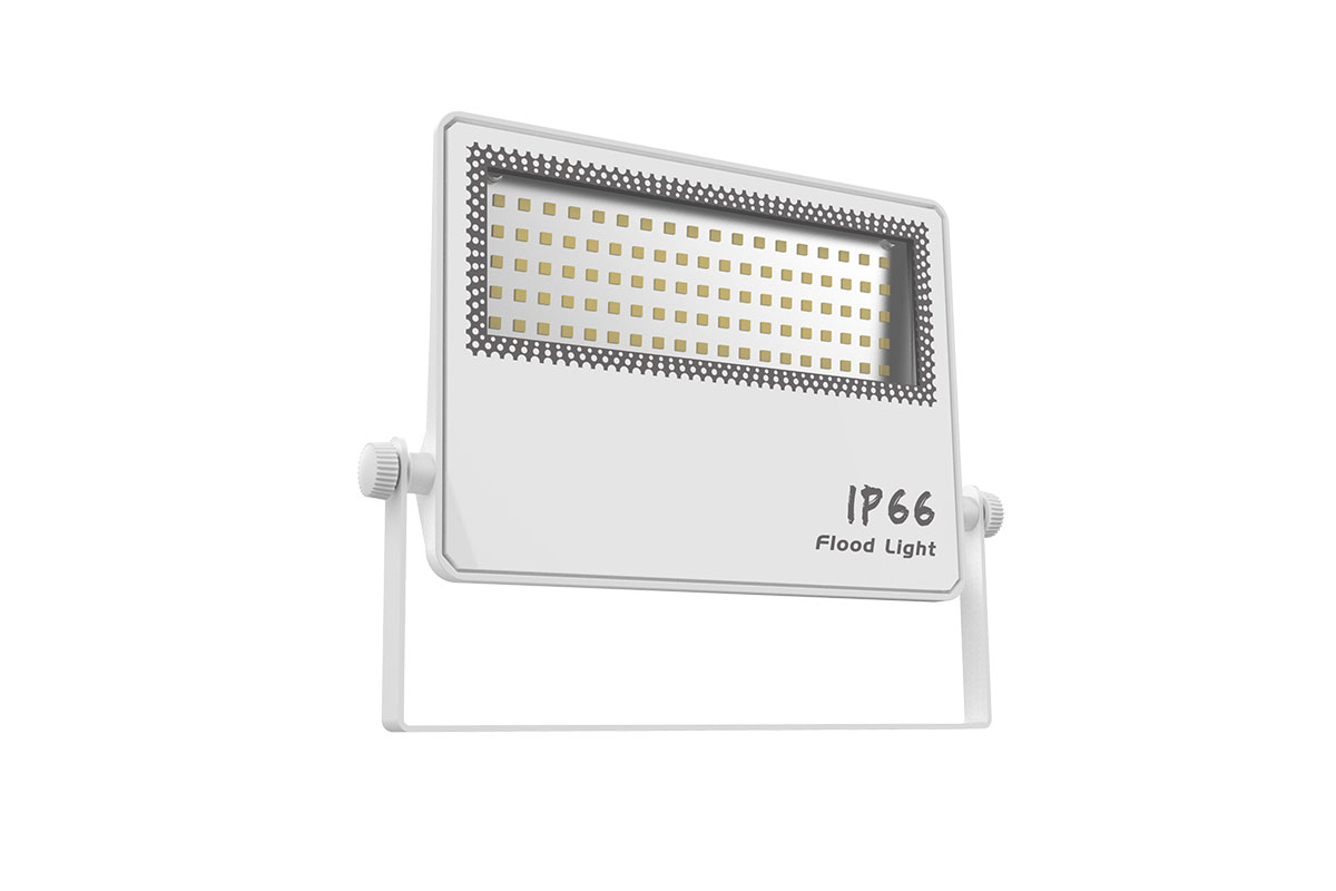 Rana LED flood light
