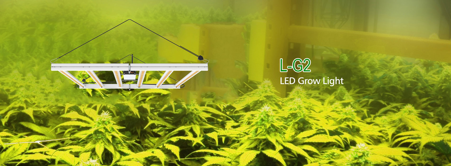 L-G2 series LED Grow Light