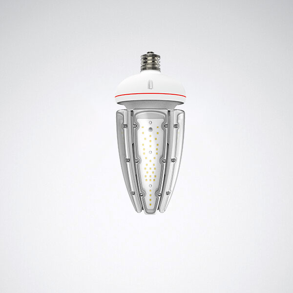 Hana LED Corn Light